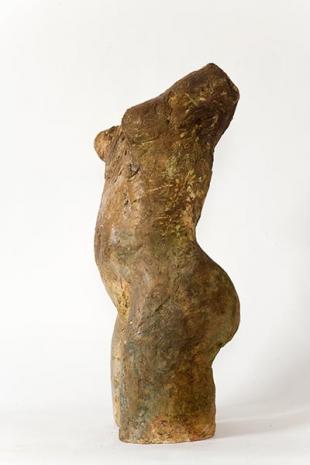 torso-weblich_01.jpg